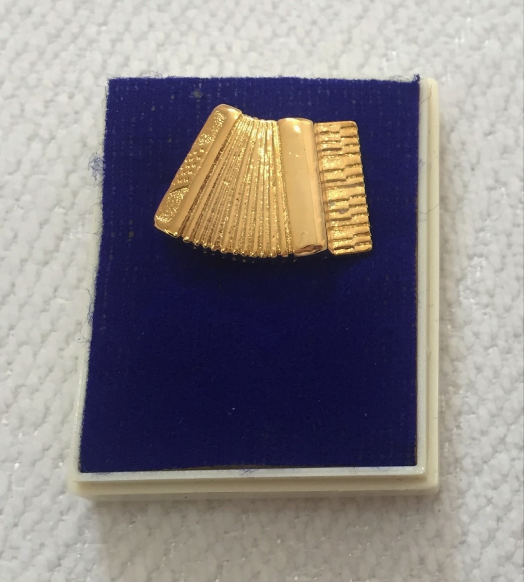 Altın Kaplama Akordeonlu Pin - G&G