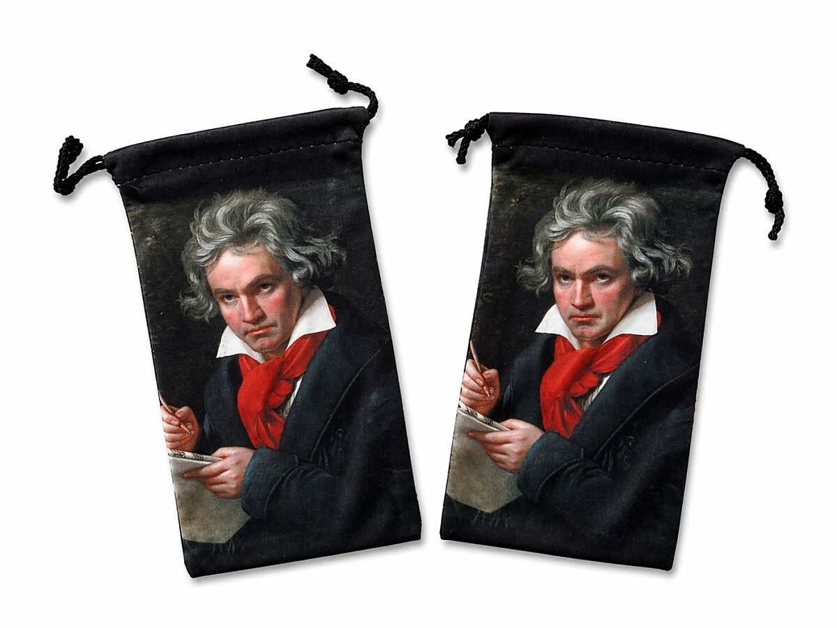 Beethoven Gözlük Kabı - 2