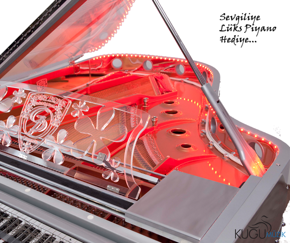 Gary Pons SY 160 Grand Piyano - Thumbnail