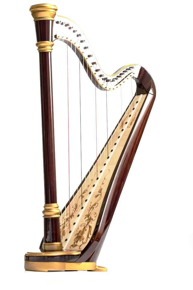 İRİS Resonance Arp - RESONANCE