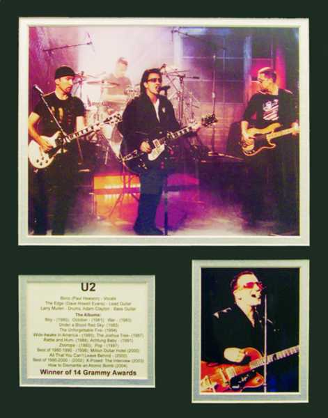 U2 Biyografik Poster