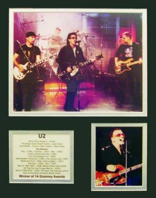 U2 Biyografik Poster - Thumbnail
