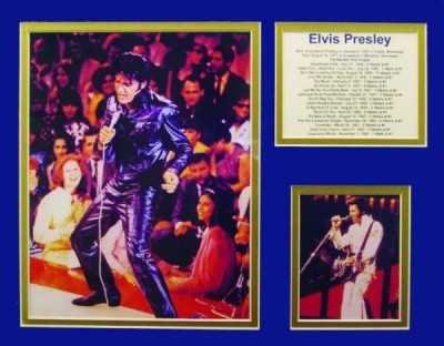 Elvis in Concert Biyografik Poster - Thumbnail