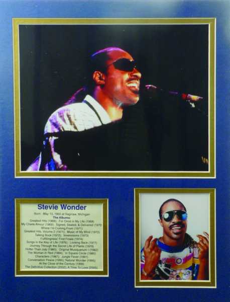 Stevie Wonder Biyografik Poster