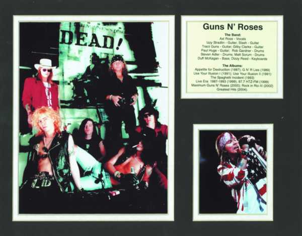 Guns N Roses Biyografik Poster