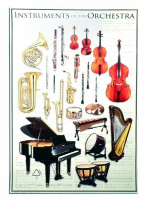 Orkestra Çalgıları Poster - 3