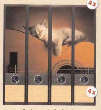 Klasör Etiketleri Gitarlı - 2