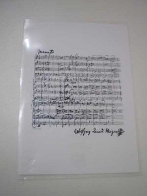 Mozart Şeffaf Dosya - ViennaWorld