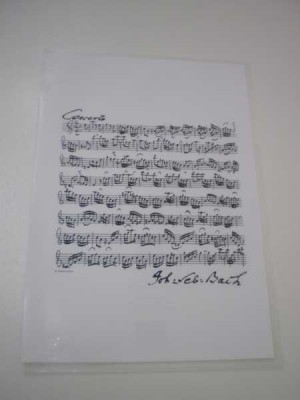 Bach Şeffaf Dosya - ViennaWorld