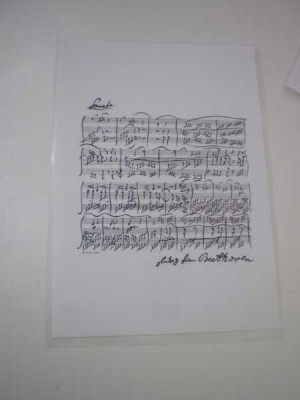 Beethoven Şeffaf Dosya - ViennaWorld