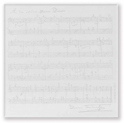 Strauss Mini Notluk - ViennaWorld