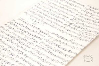 Vivaldi Notalı Kap Kağıdı - Siyah - Anka Verlag