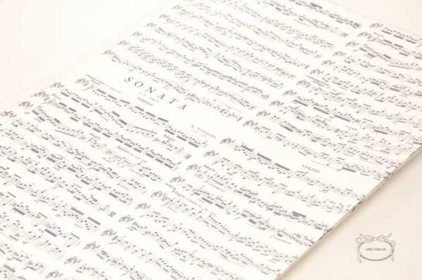 Vivaldi Notalı Kap Kağıdı - Siyah