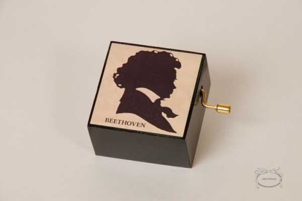 Beethoven Siluet Müzik Kutusu