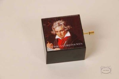 Beethoven Müzik Kutusu - Anka Verlag