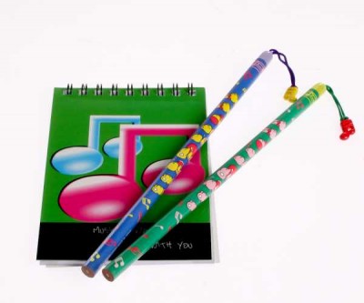 Notalı Renkli Kırtasiye Set - SWANART