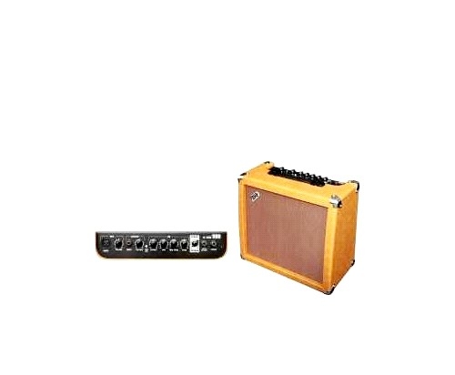 Akustik Gitar için Amfi Zar A-20R - GEWA