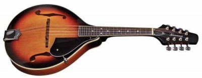 Tennessee Mandolin A-1 F-Hole Select