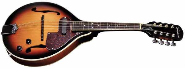 Tennessee Elektro Mandolin A-1 F-Hole Select