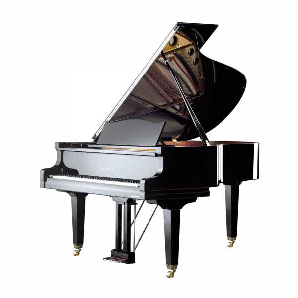 Kuyruklu Piyano 190