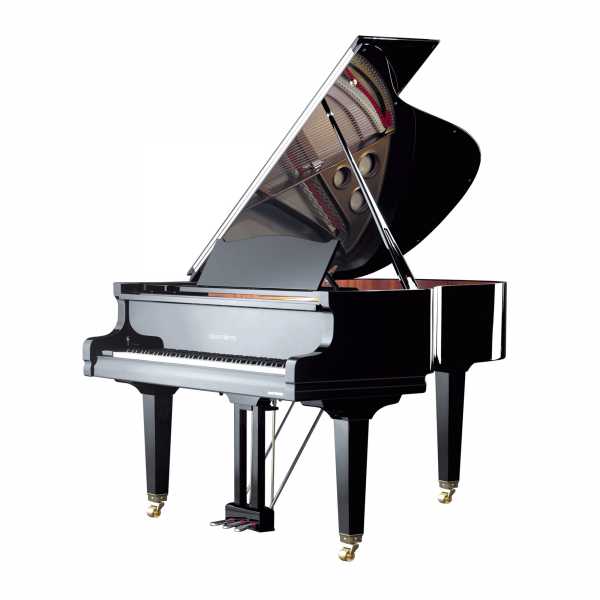 Kuyruklu Piyano 170