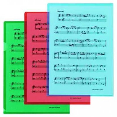 Notalı Renkli Dosya - G&G