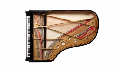 Tüm Fazioli Piyanolarının (ve Fazioli F156) Fiyat ve Stok bilgisi için iletişime geçiniz. http://piyano.kugumuzik.com . - Thumbnail