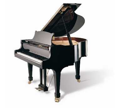 Kuyruklu Piyano - Wilh. Steinberg