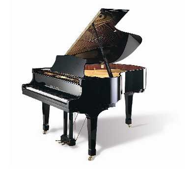 Kuyruklu Piyano - Wilh. Steinberg