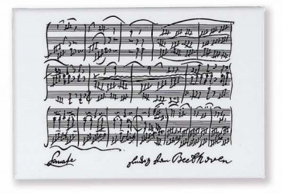 Beethoven Magnet - ViennaWorld