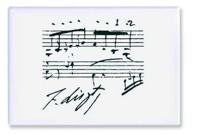 Liszt Notalı Magnet