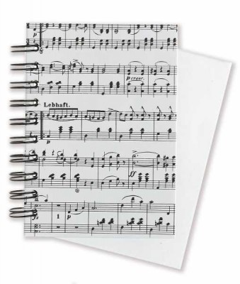 Not Defteri Strauss Notalı - ViennaWorld