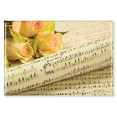 Güller ve Vals, Magnet - ViennaWorld