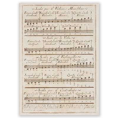 Scala Violino, Posta Kartı - ViennaWorld